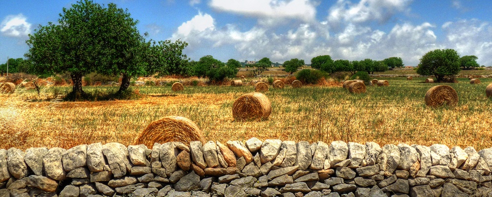 Sicilian Landscape